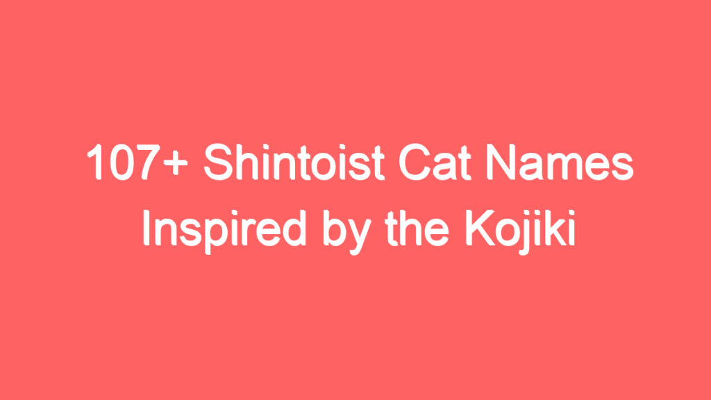 107 shintoist cat names inspired by the kojiki and nihon shoki 4060