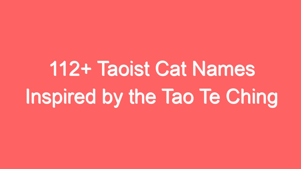 112 taoist cat names inspired by the tao te ching 4061