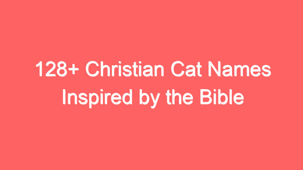 128 christian cat names inspired by the bible 4052