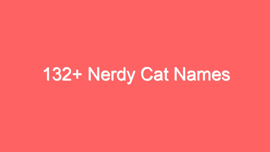 132 nerdy cat names 4107