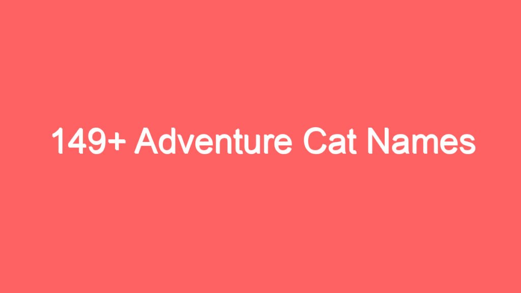 149 adventure cat names 4115