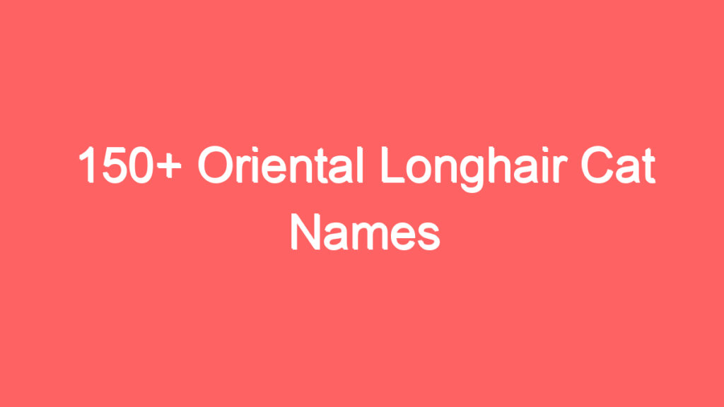 150 oriental longhair cat names 3740