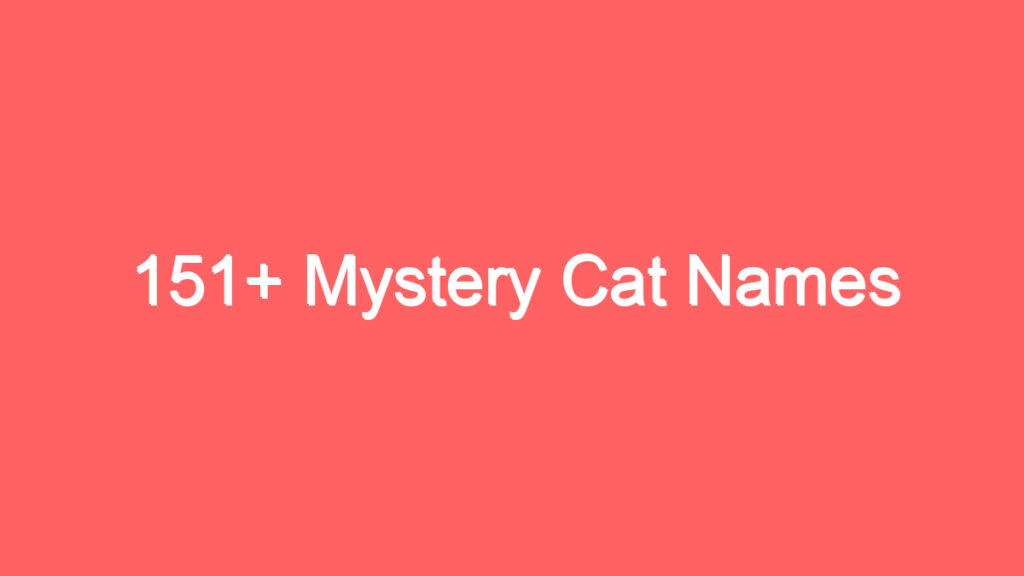 151 mystery cat names 4118