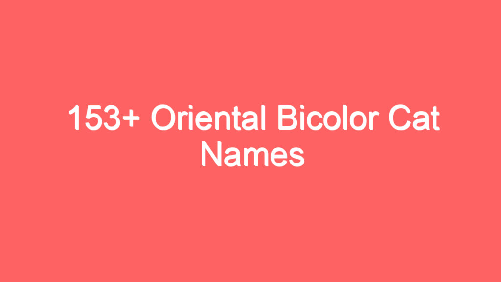 153 oriental bicolor cat names 3739