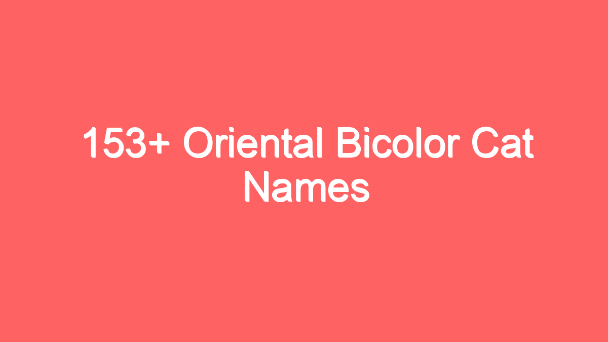 153 oriental bicolor cat names 3739