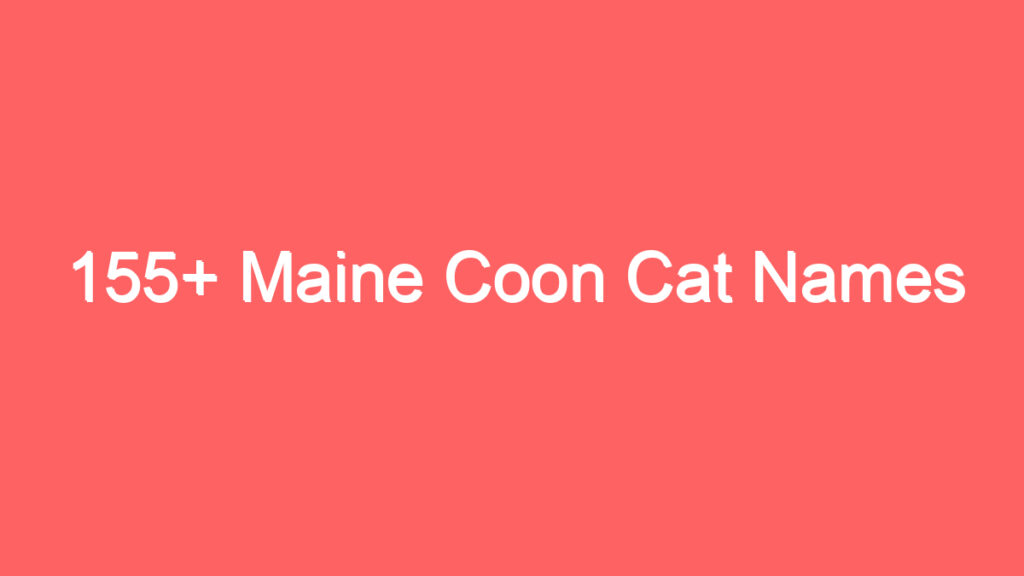 155 maine coon cat names 3727