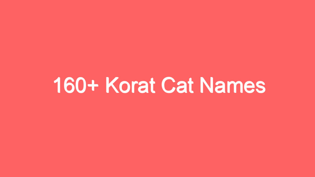 160 korat cat names 3720