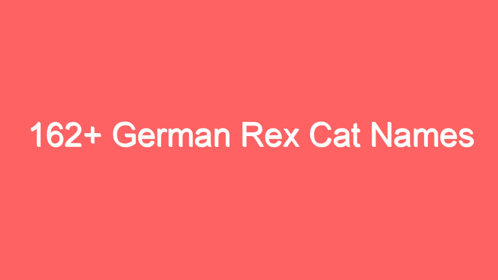 162 german rex cat names 3711