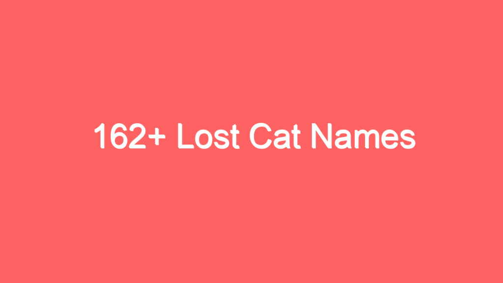 162 lost cat names 4022