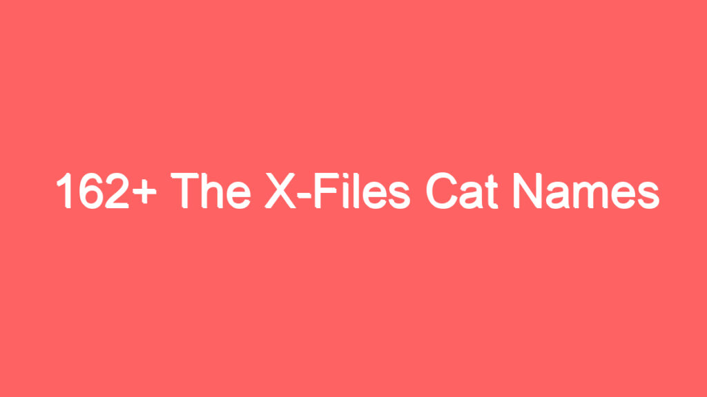 162 the x files cat names 4049