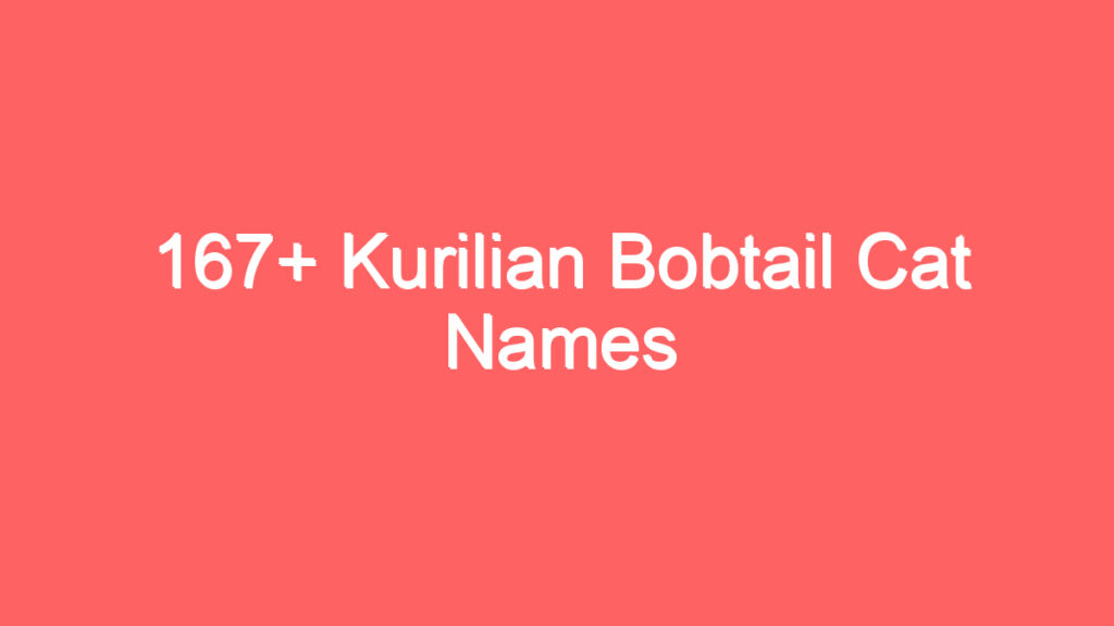 167 kurilian bobtail cat names 3723