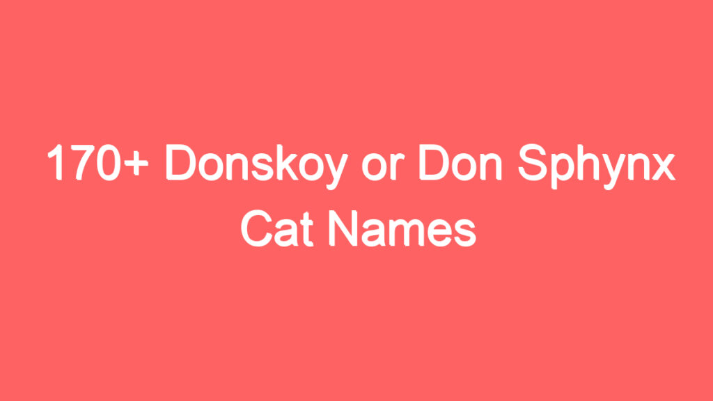 170 donskoy or don sphynx cat names 3704