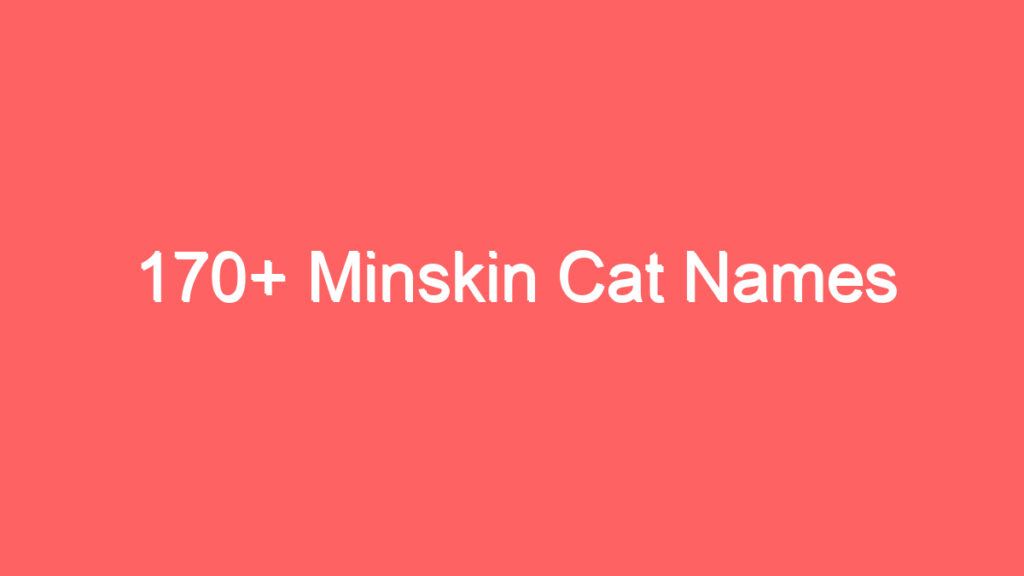 170 minskin cat names 3730