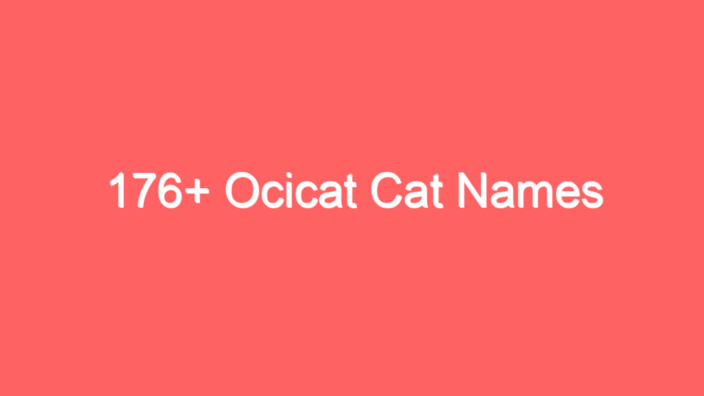 176 ocicat cat names 3736