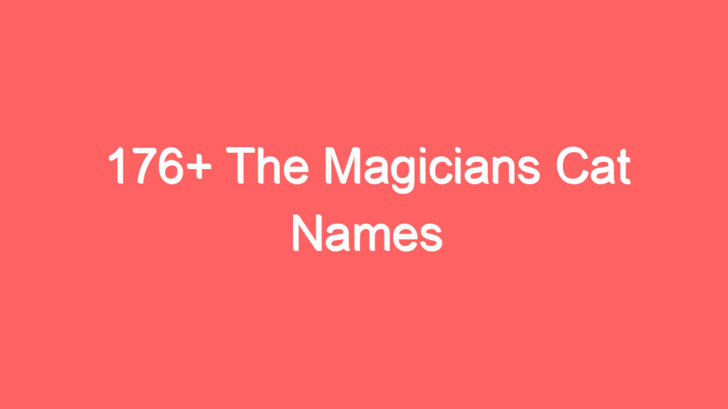 176 the magicians cat names 4024