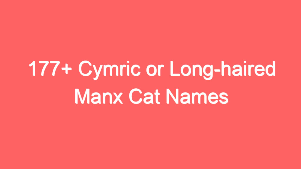 177 cymric or long haired manx cat names 3701