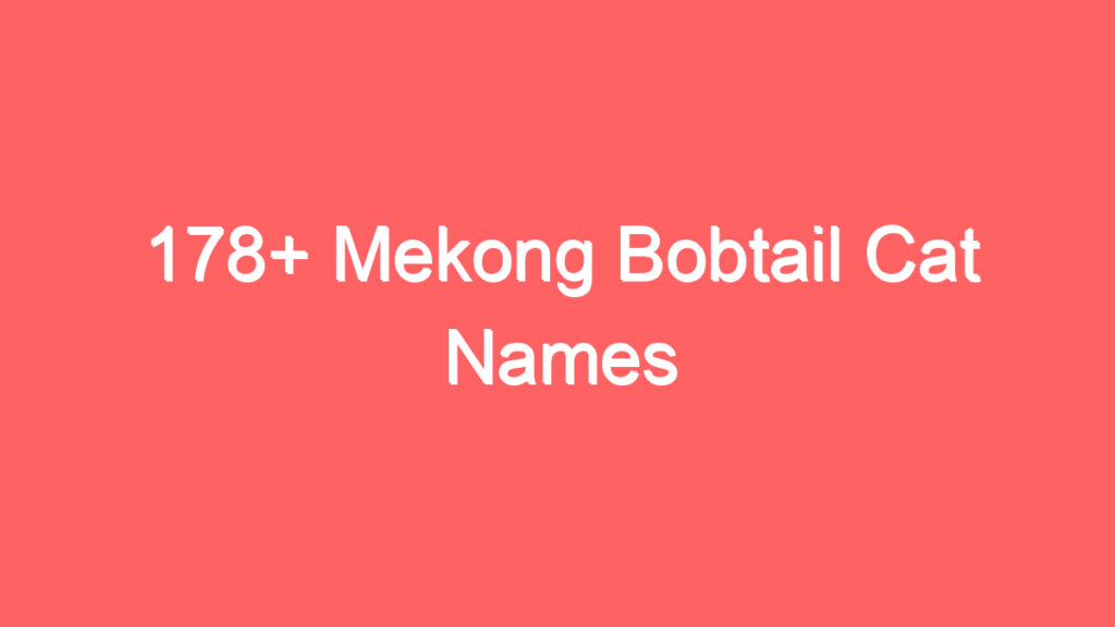 178 mekong bobtail cat names 3729