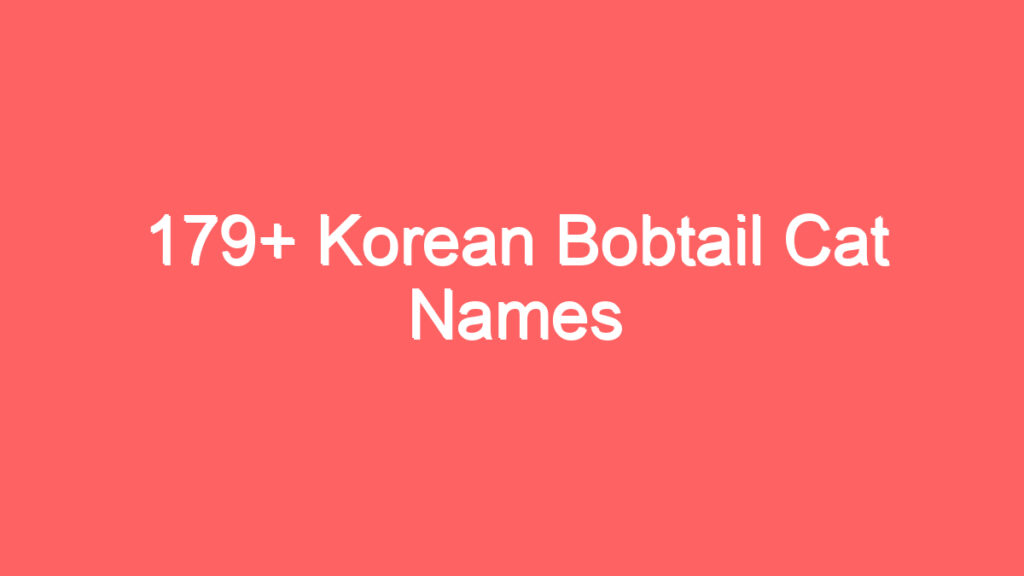 179 korean bobtail cat names 3721