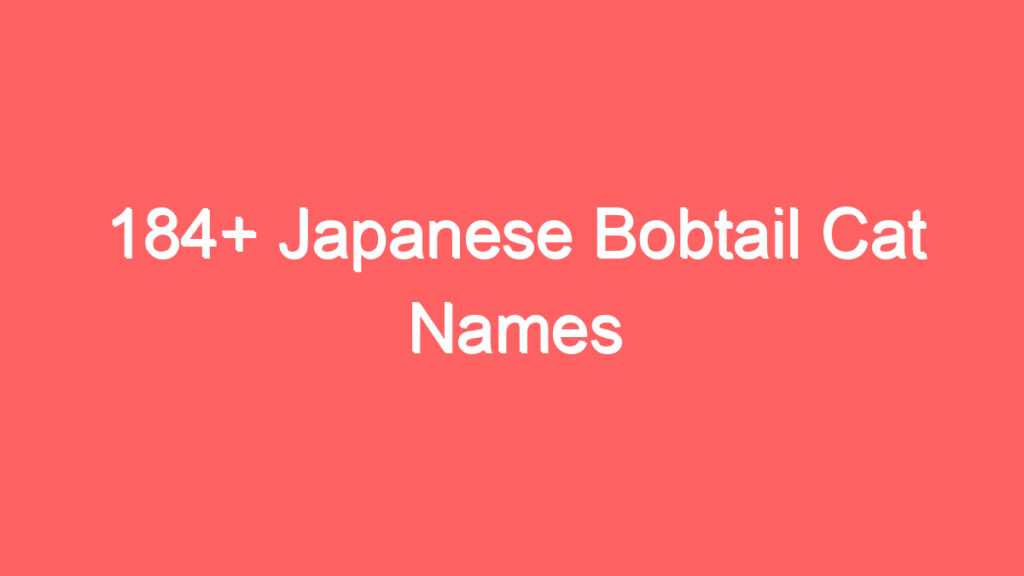 184 japanese bobtail cat names 3715