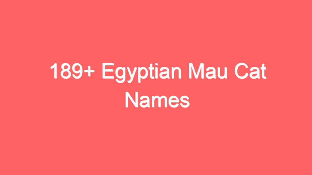 189 egyptian mau cat names 3707