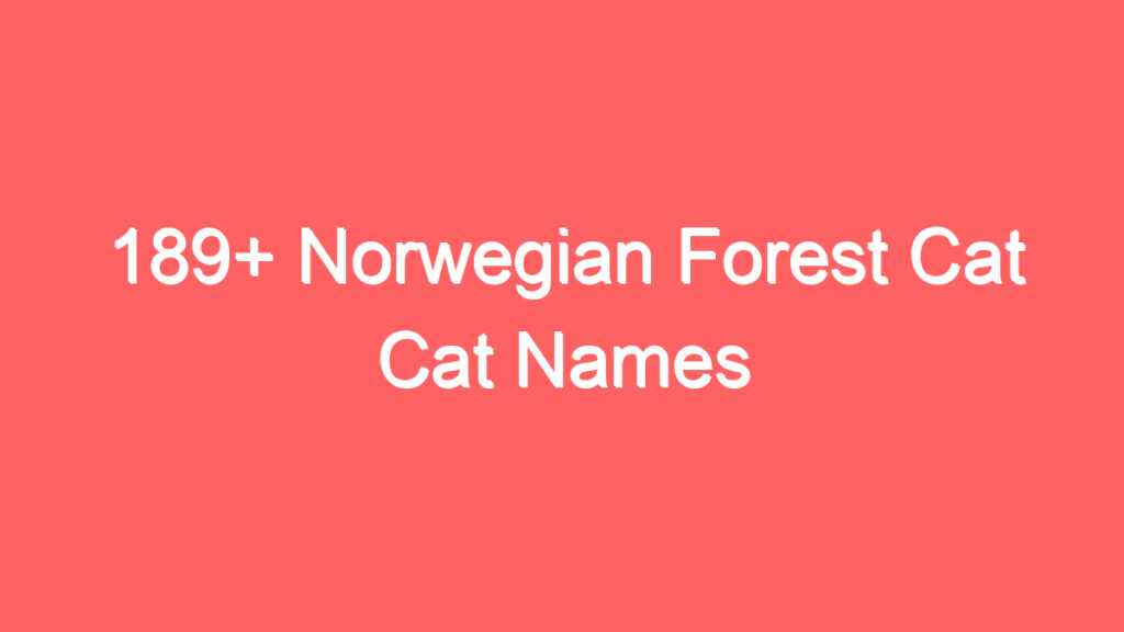 189 norwegian forest cat cat names 3735