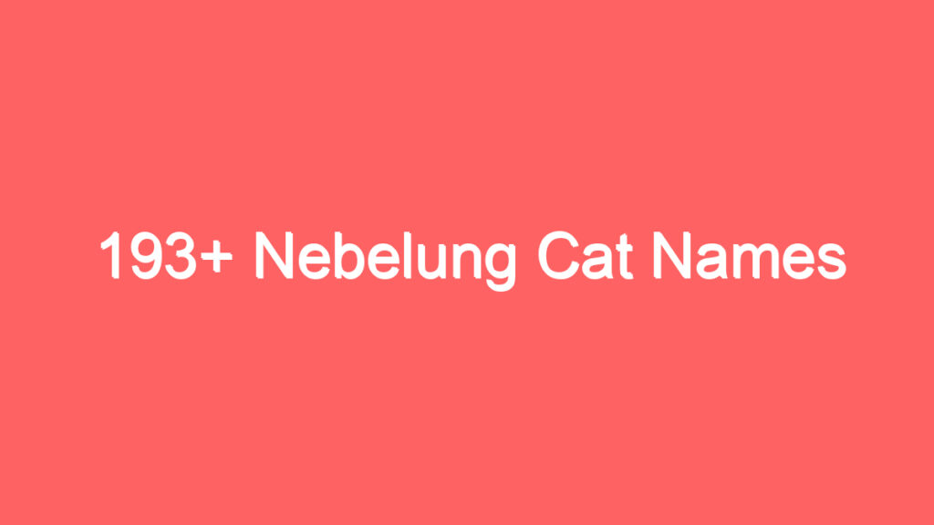 193 nebelung cat names 3733