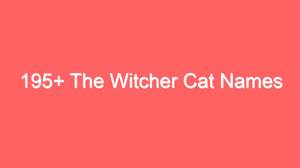 195 the witcher cat names 4009