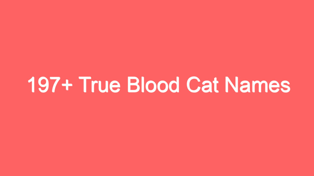 197 true blood cat names 4037