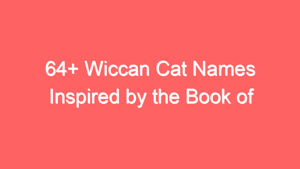 64 wiccan cat names inspired by the book of shadows 4068