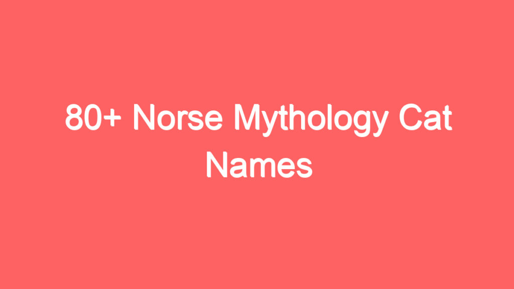 80 norse mythology cat names 4078