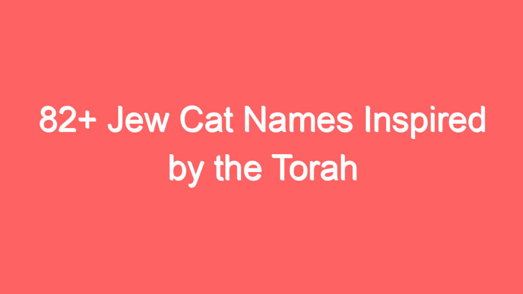 82 jew cat names inspired by the torah 4057