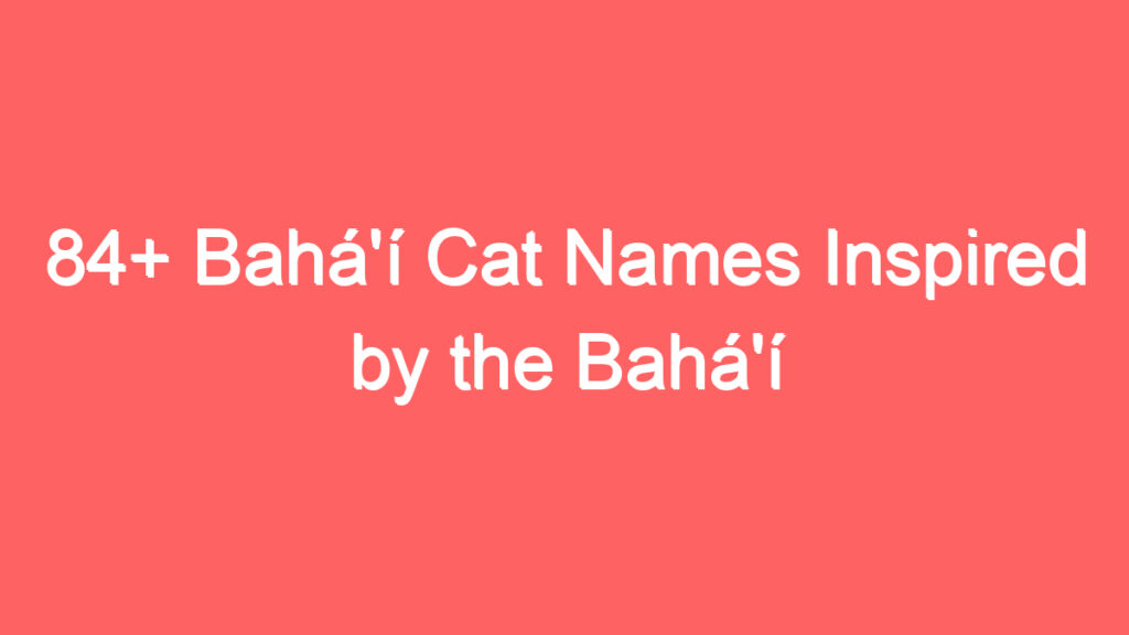 84 bahai cat names inspired by the bahai scriptures 4058