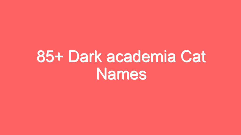 85 dark academia cat names 4108