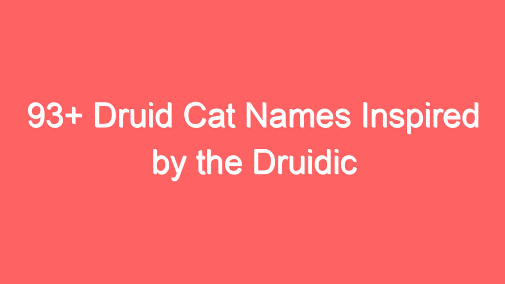 93 druid cat names inspired by the druidic writings 4067