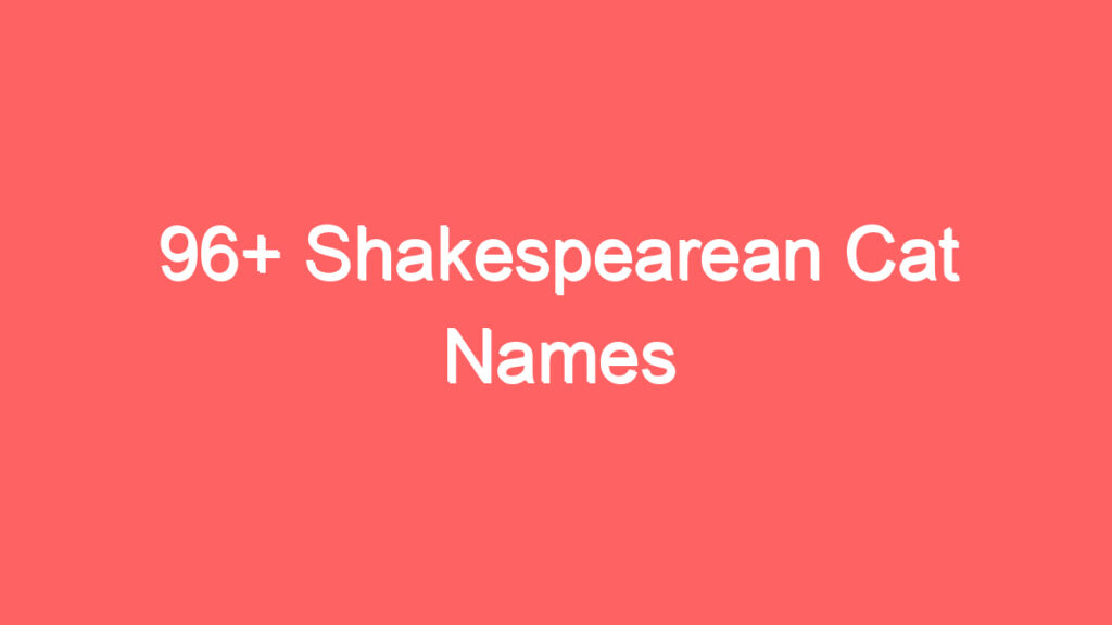 96 shakespearean cat names 4102