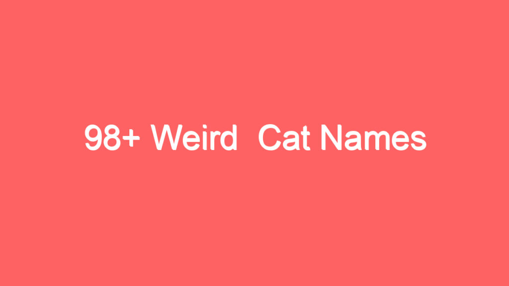 98 weird cat names 4110