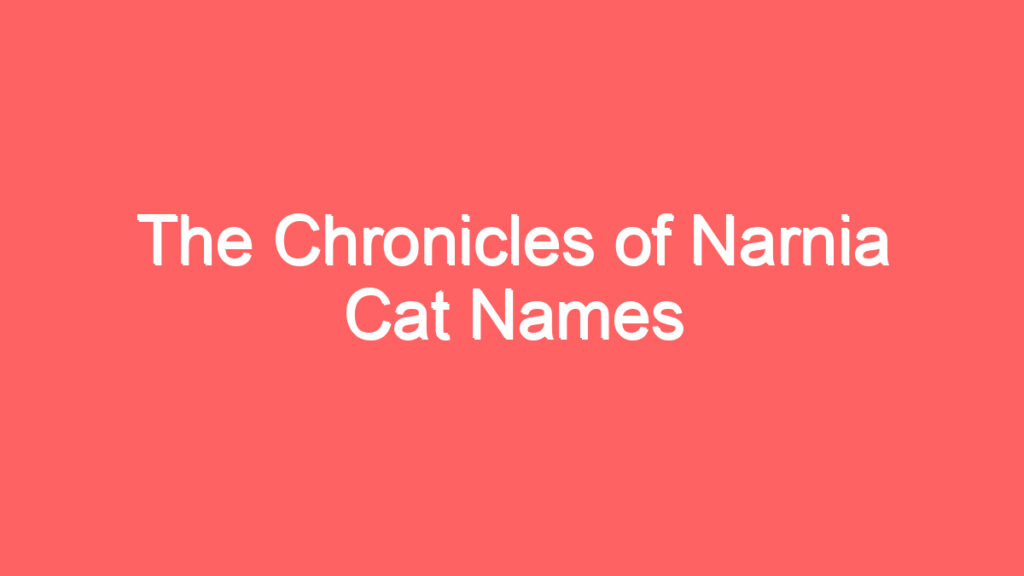 the chronicles of narnia cat names 4141