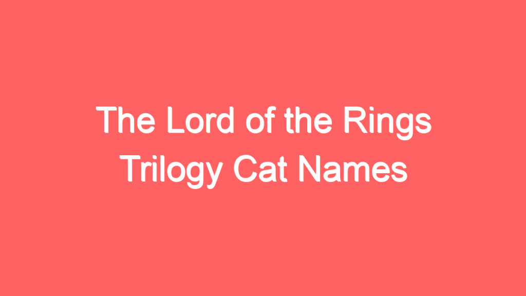 the lord of the rings trilogy cat names 4137