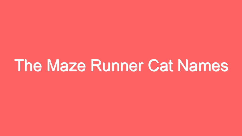 the maze runner cat names 4147