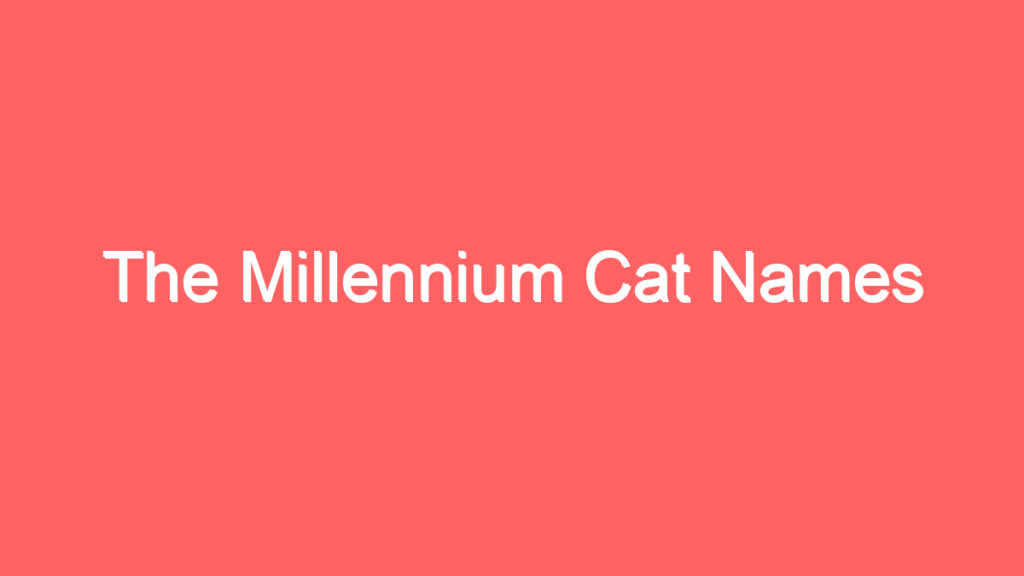 the millennium cat names 4152