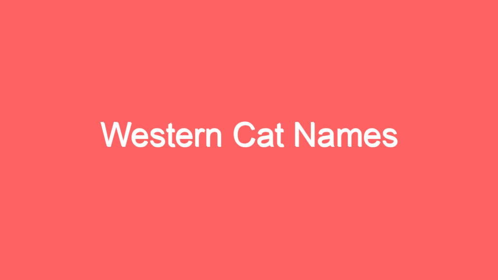 western cat names 4131