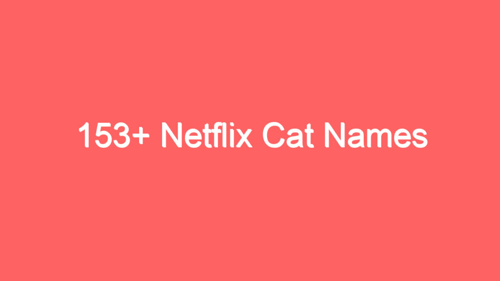 153 netflix cat names 4003