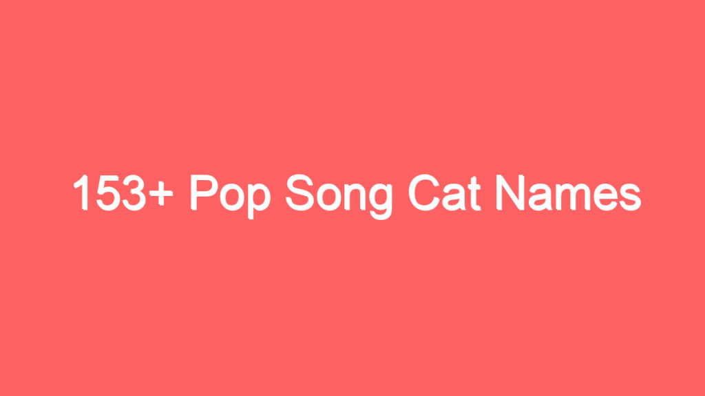 153 pop song cat names 3998