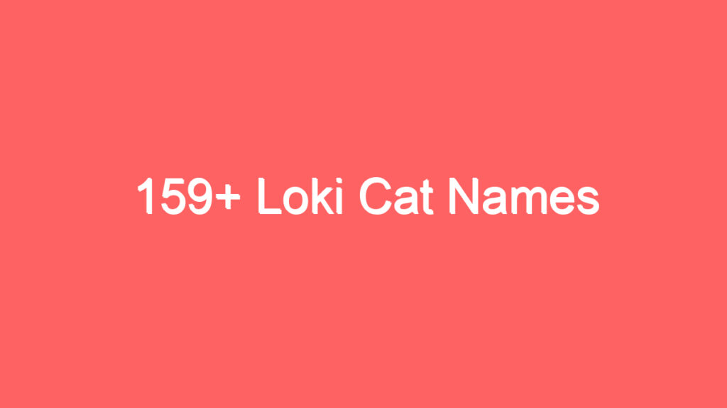 159 loki cat names 3984