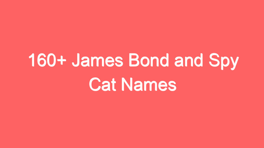 160 james bond and spy cat names 3956