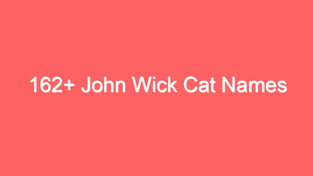 162 john wick cat names 3947