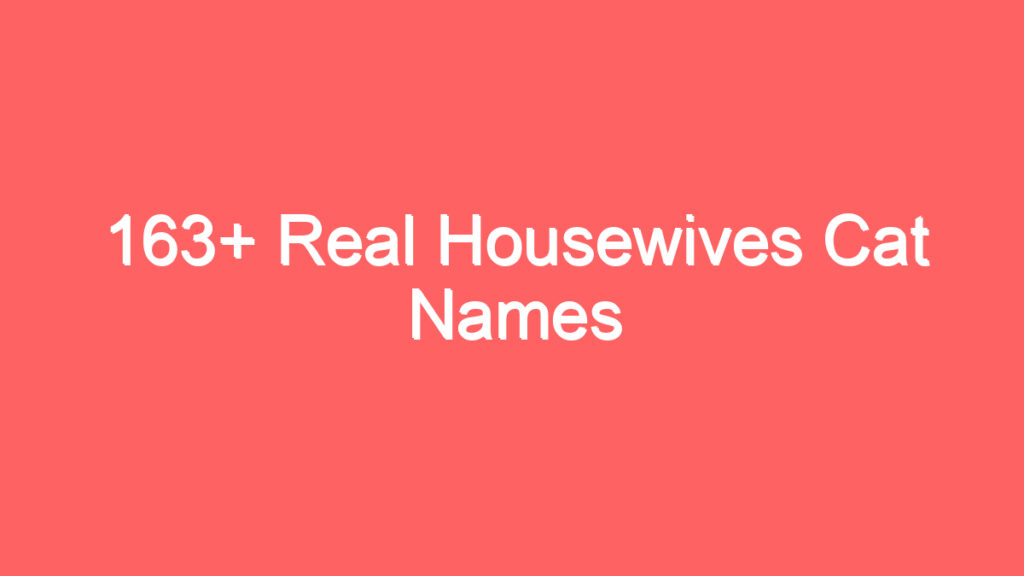 163 real housewives cat names 3992