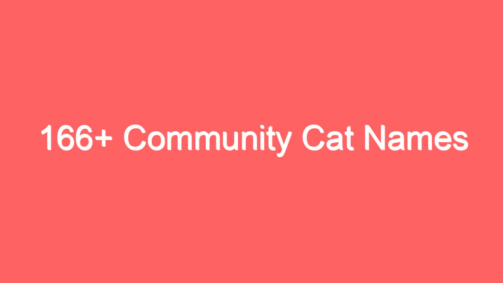 166 community cat names 3994