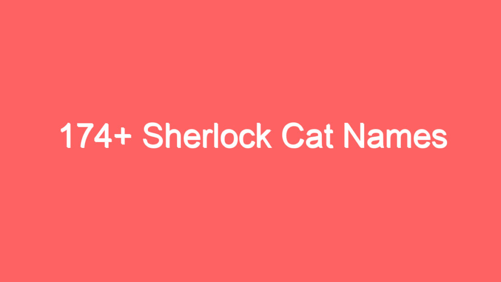 174 sherlock cat names 3989