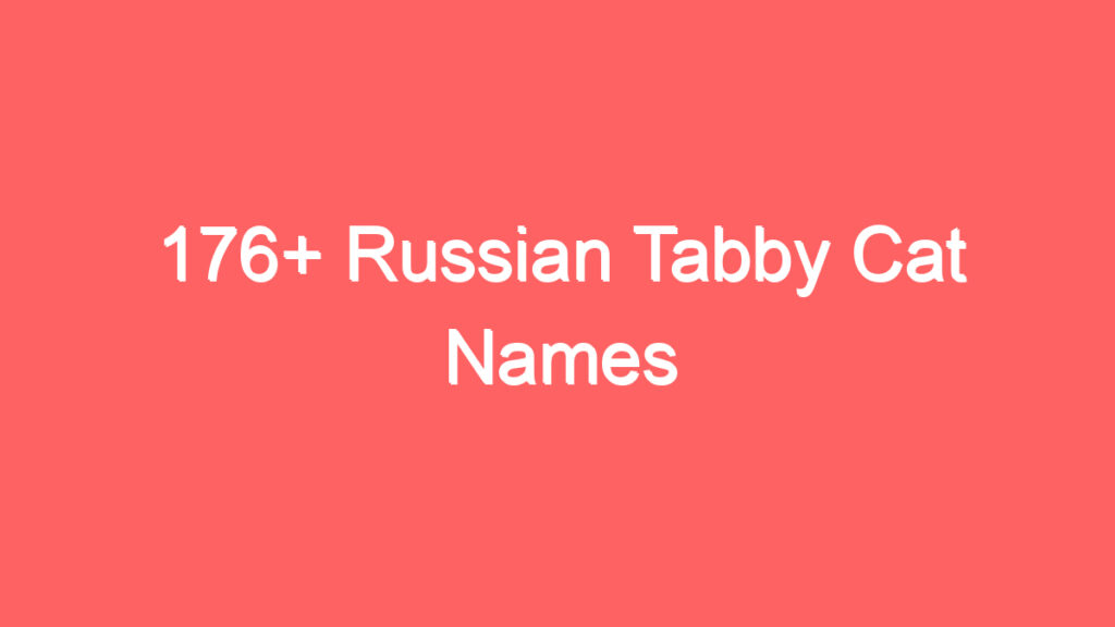 176 russian tabby cat names 3945